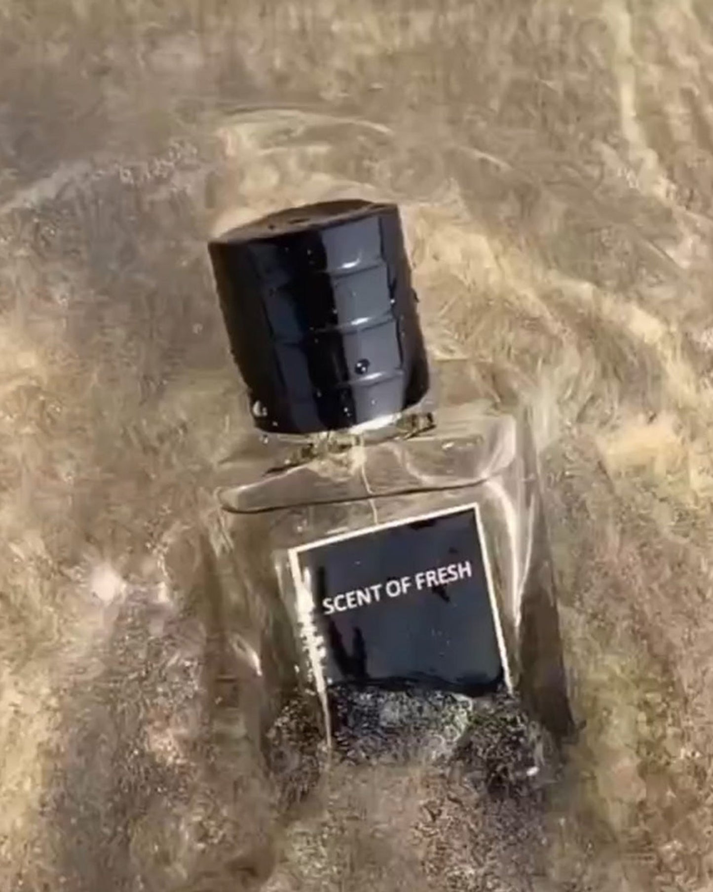 Scent Boulevardscent Of Fresh Eau De Parfum For Men & Women 50Ml Natural Spray