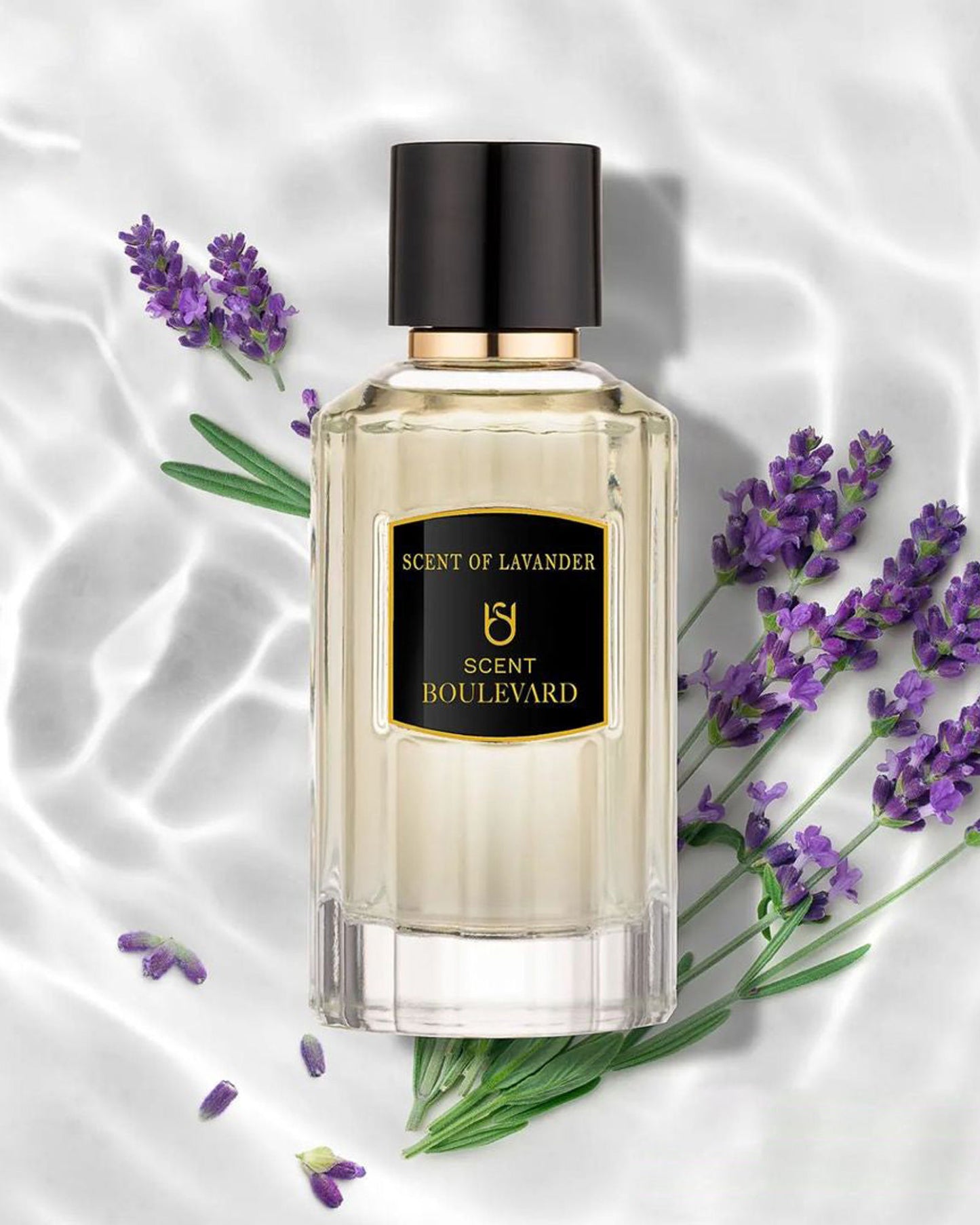 Scent Boulevard Scent of Lavender EDP 100ml