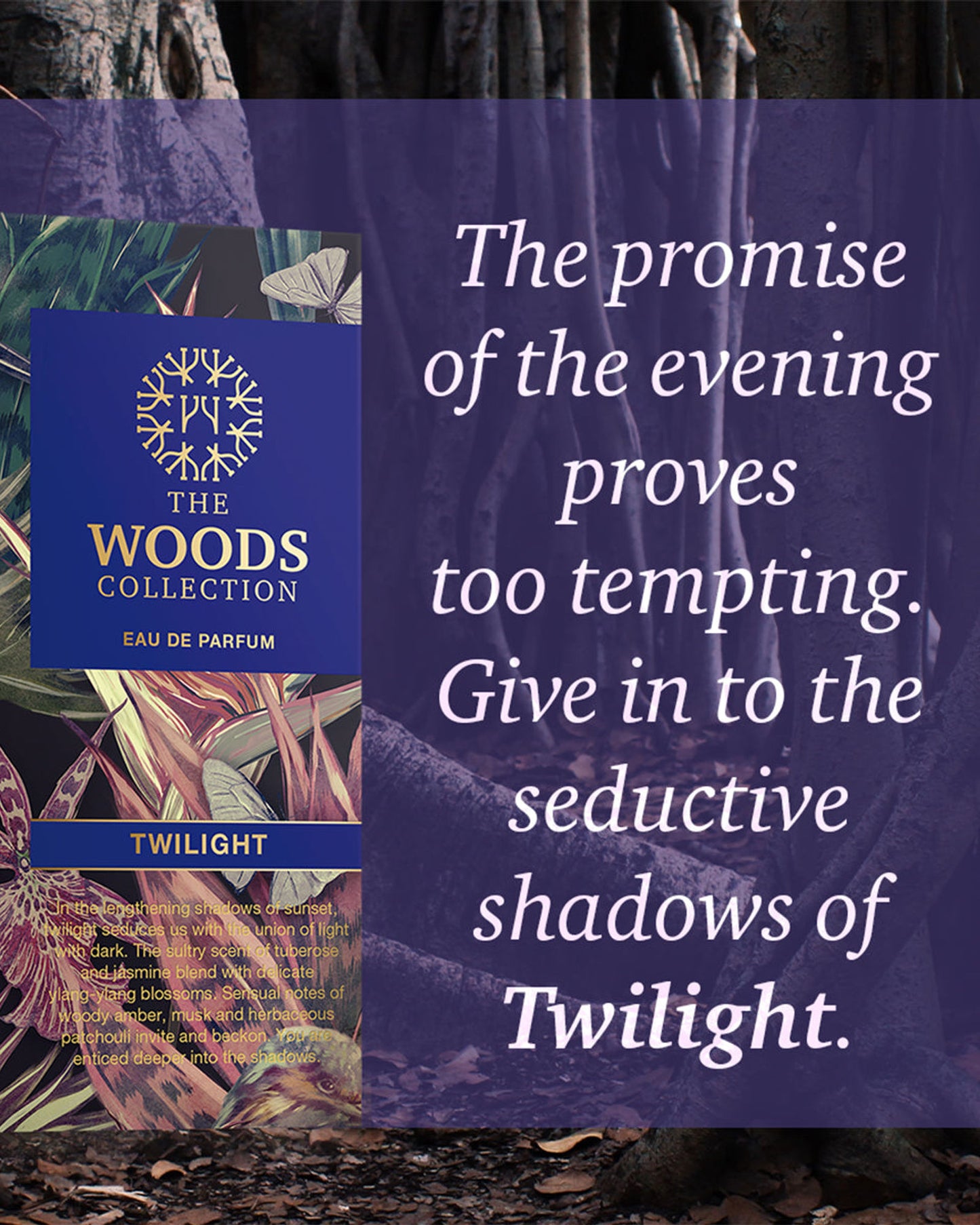 THE WOODS COLLECTION
TWILIGHT
Eau de parfum Unisex
100 ML Natural Spray