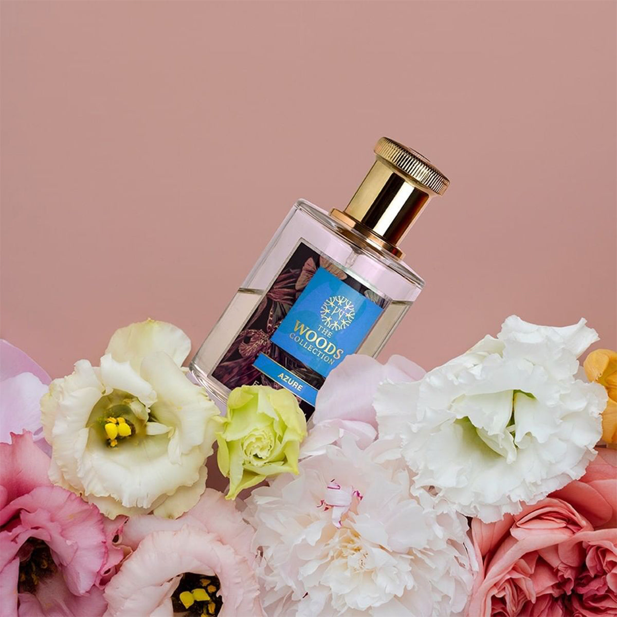 THE WOODS COLLECTION AZURE Eau de parfum Unisex 100 ML Natural Spray