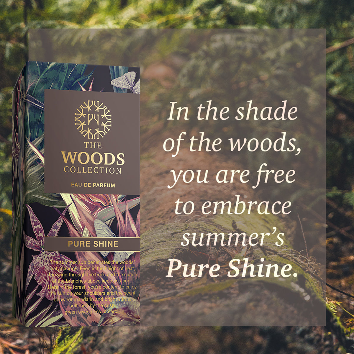 THE WOODS COLLECTION
PURE SHINE
Eau de parfum Unisex
100 ML Natural Spray
