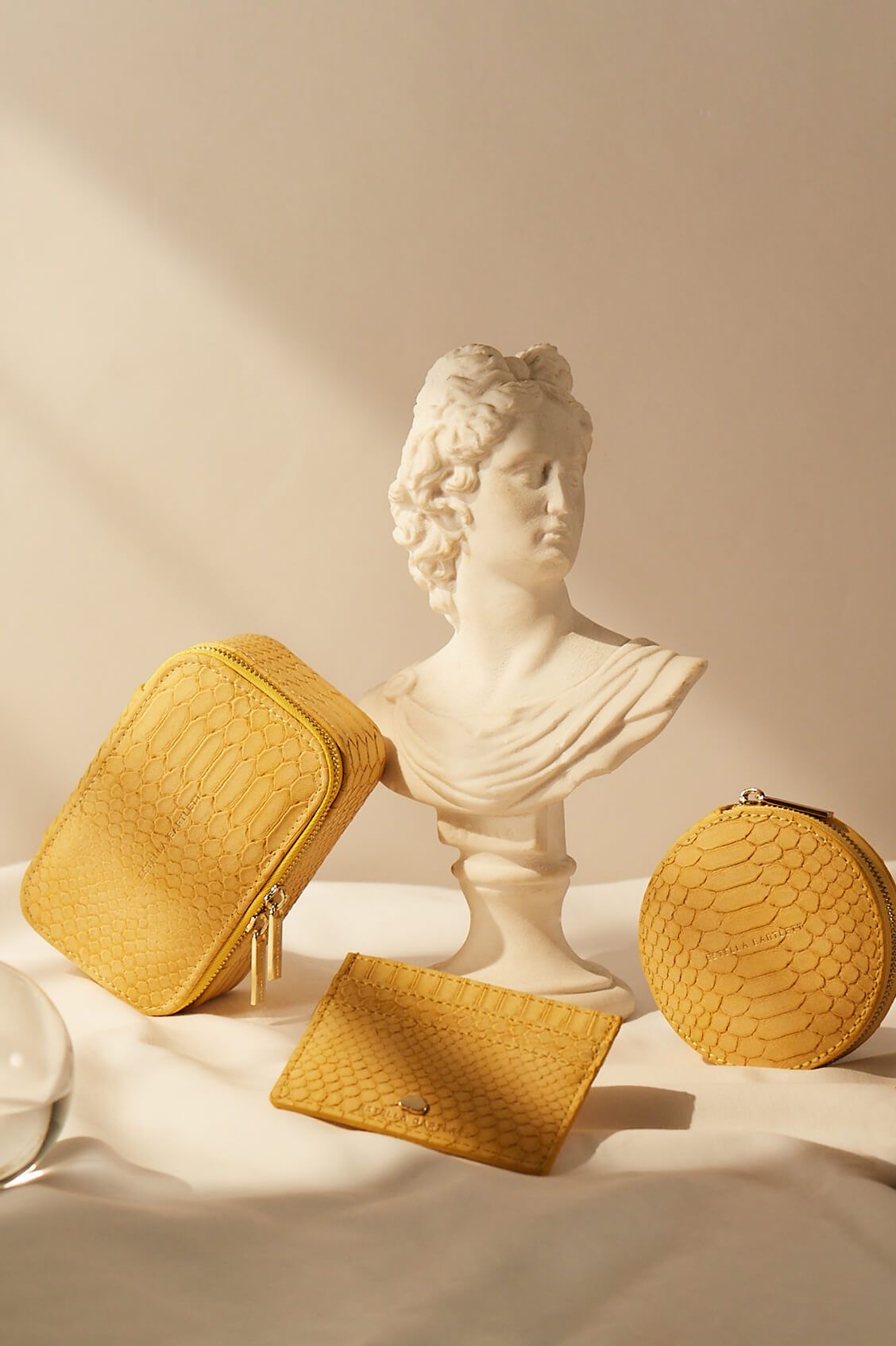 ESTELLA BARTLETT MINI JEWELLERY BOX EBP3630 MUSTARD SNAKE