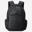 Delsey Paris Element Flier 2compartment Backpack