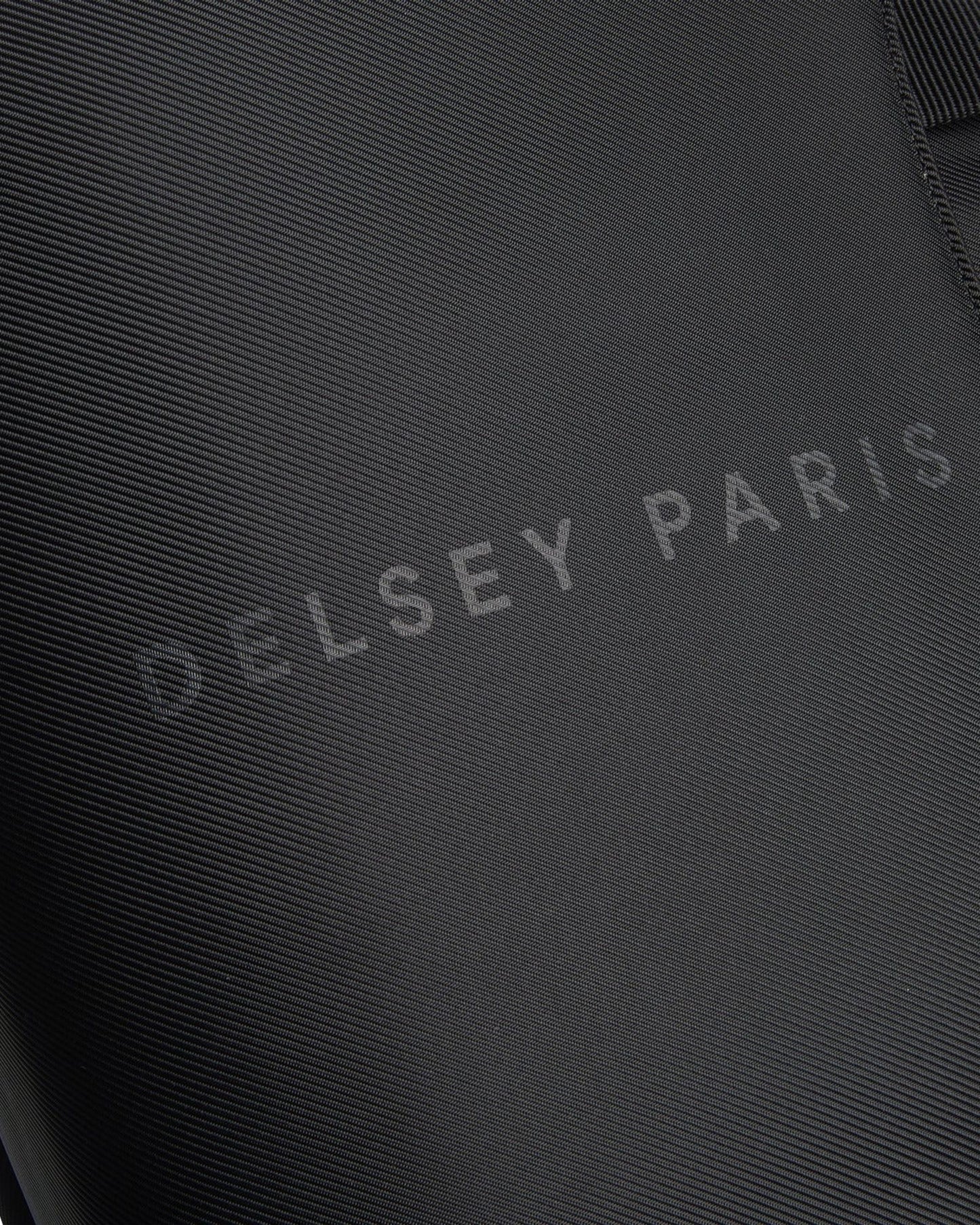 Delsey Paris Arche 2 Compartment Laptop Protection 15.6 Inch Satchel Backpack Black