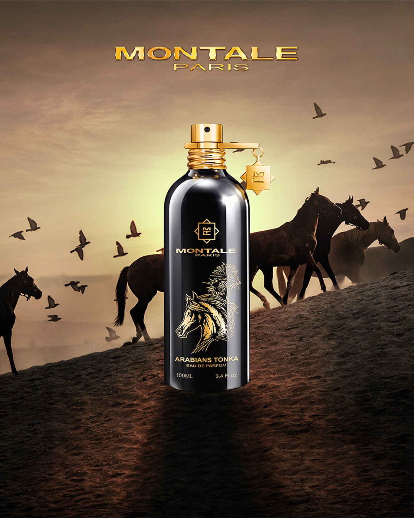 Montale Arabian Tonka for Men & Women Natural Spray EDP 100ml