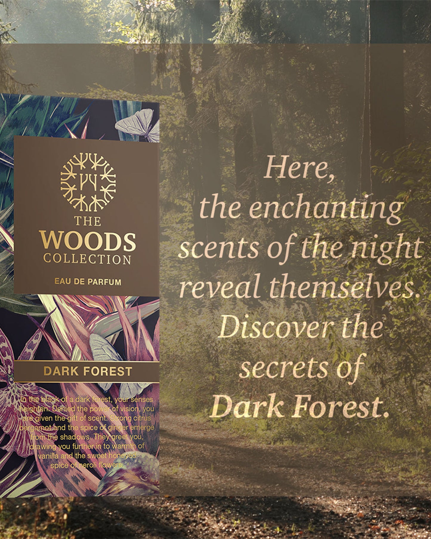 THE WOODS COLLECTION
DARK FOREST
Eau de parfum Unisex 
100 ML Natural Spray