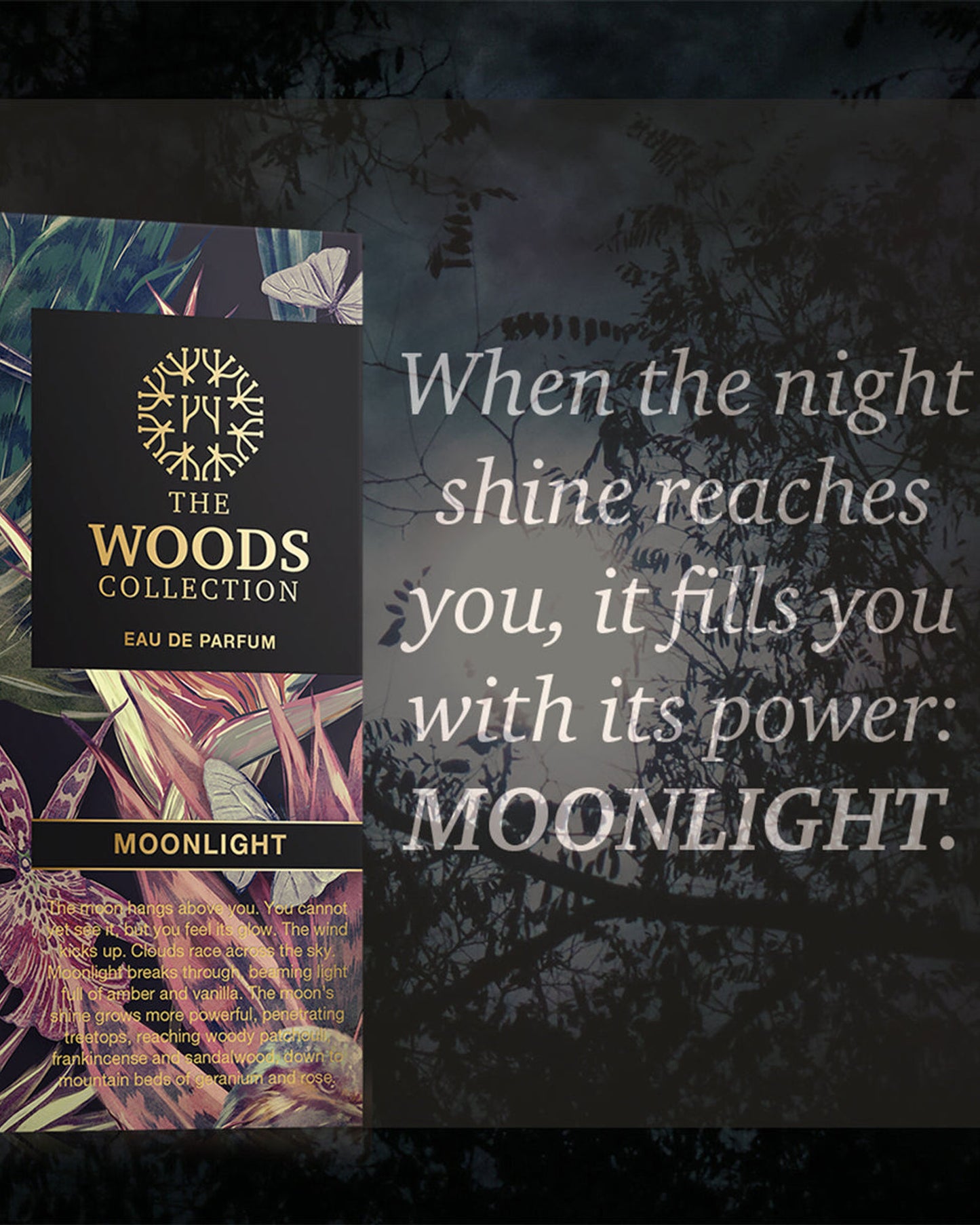 The Woods Collection Moonlight EDP 100ml