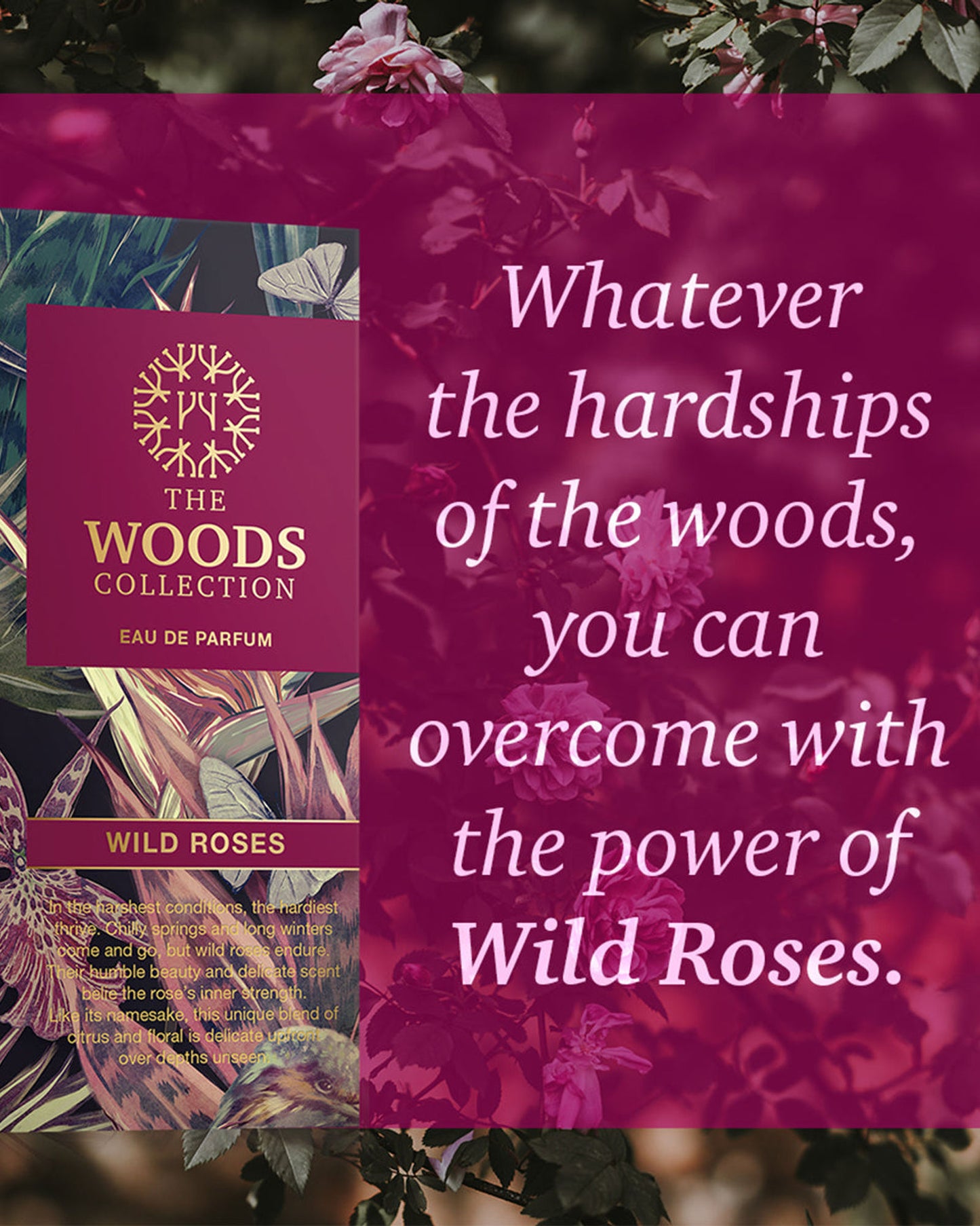 The Woods Collection Wild Roses EDP 100ml