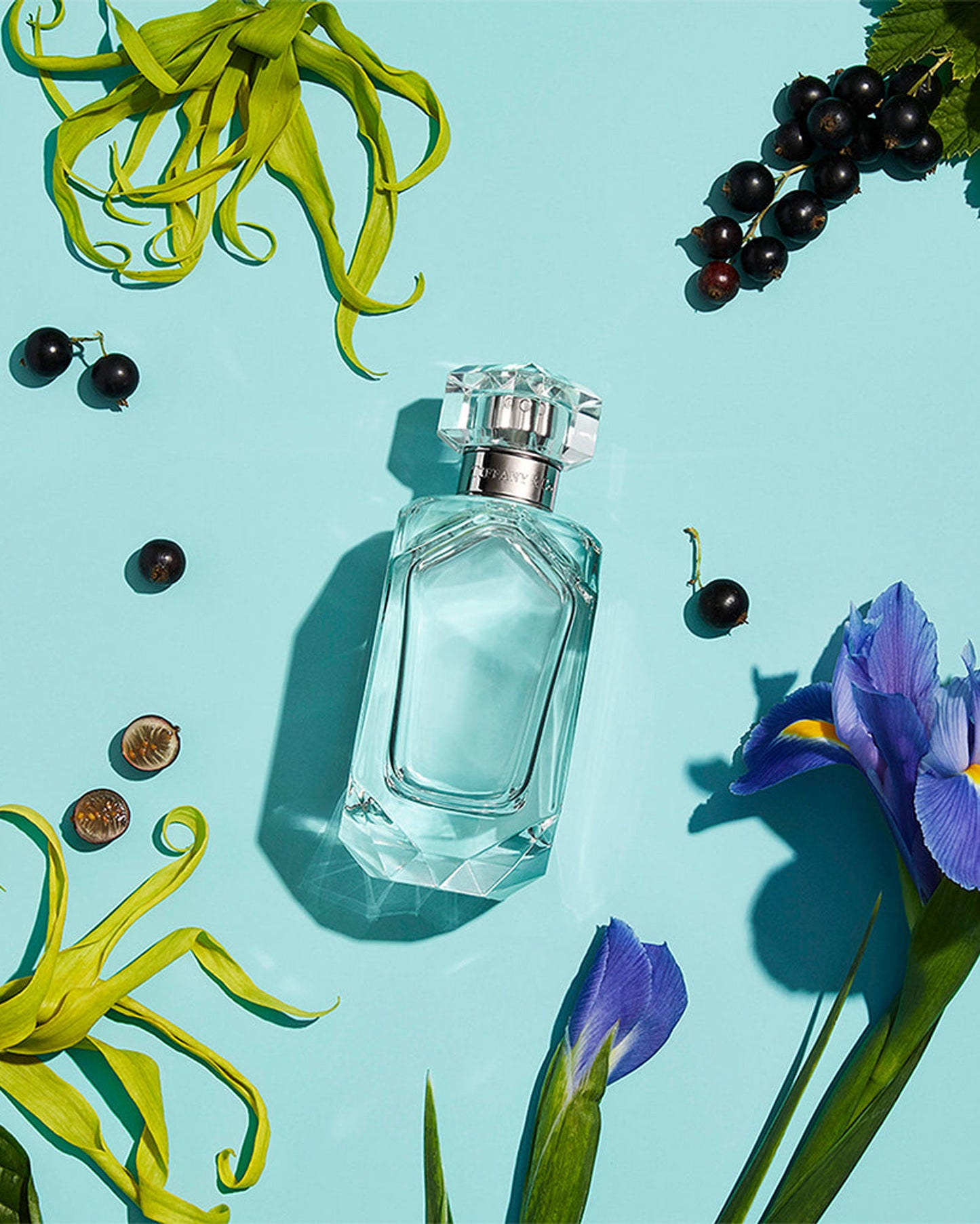 Tiffany & Co. EDT 75ml