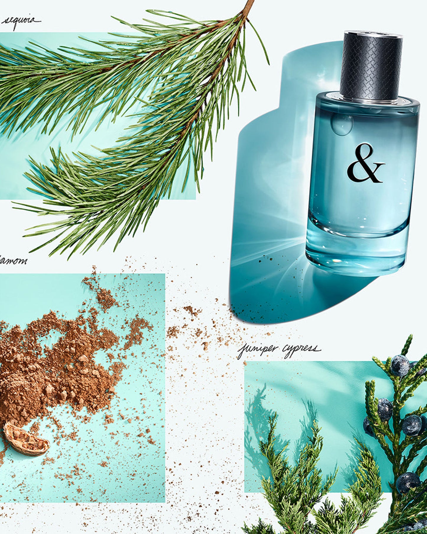 Tiffany & Love for Men EDT 50ml