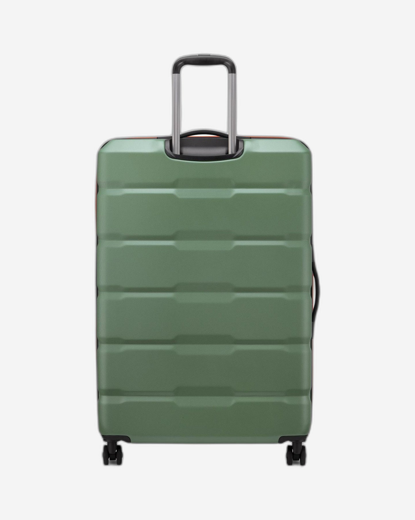 Delsey Paris Citadel Luggage