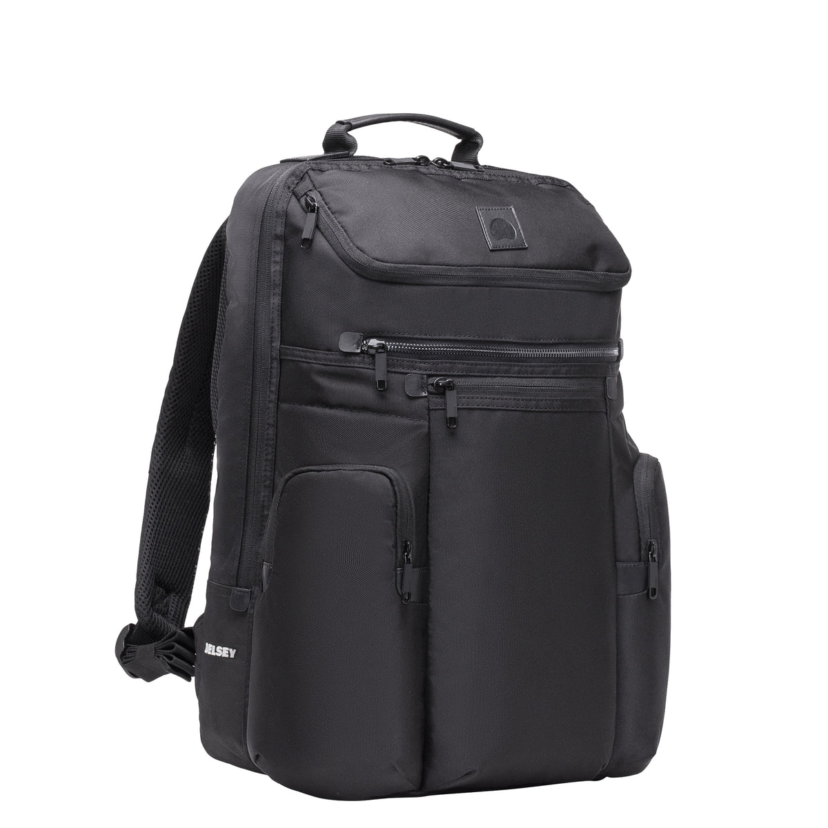 Delsey Paris Ciel 2?Compartment Laptop Backpack – Black