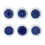 IN BLOOM BOITE 6 ASS COUPE 21CM ASSORTIES