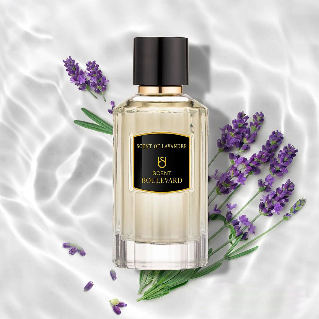 Scent Boulevardscent Of Lavender Eau De Parfum For Men 100Ml