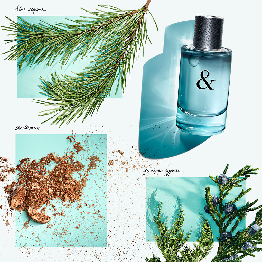 香水(男性用) TIFFANY&LOVE FOR HIM 50ml Tiffany & Love Eau de Toilette for Him, 3.0 ounces