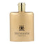 Amber Oud Eau De Perfume - 100 ml - F80P003N