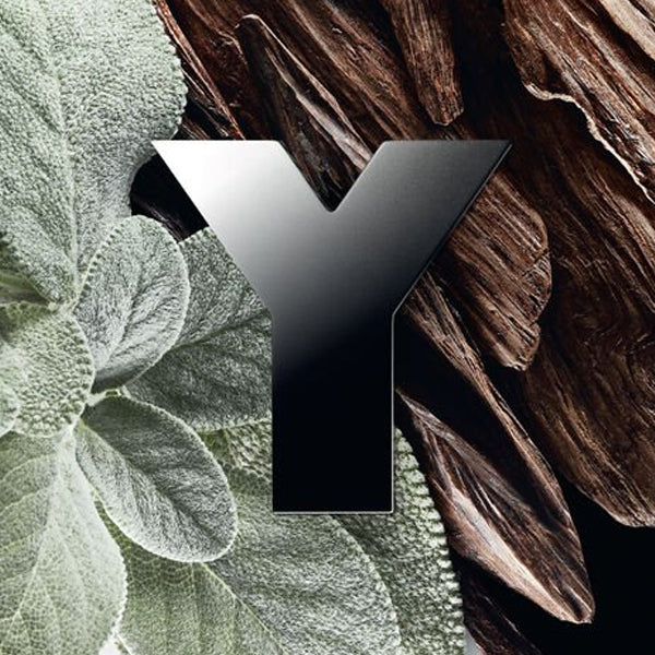 YVES SAINT LAURENT-Y EAU DE PARFUM FOR MEN 100ml NATURAL SPRAY